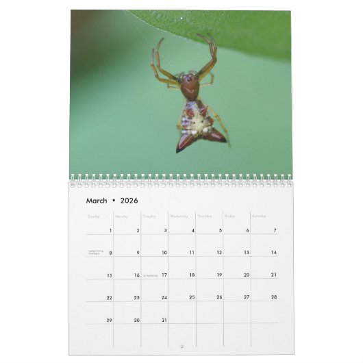 Spiders. Agenda Kalender (Mar 2026)