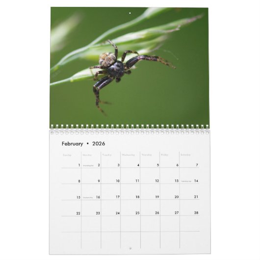 Spiders. Agenda Kalender (Feb 2026)