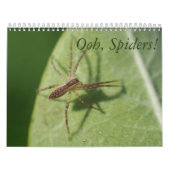 Spiders. Agenda Kalender (Hoes)