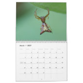 Spiders. Agenda Kalender (Mar 2027)