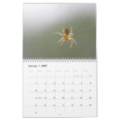 Spiders. Agenda Kalender (Jan 2027)