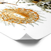 Spiders, Ernst Haeckel Fine Art Poster (Hoek)