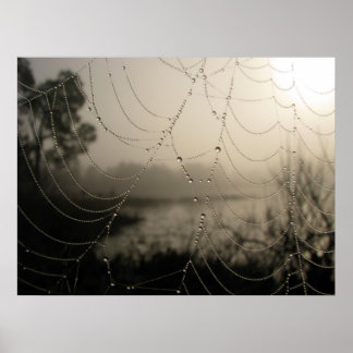 Spider's Morning Poster