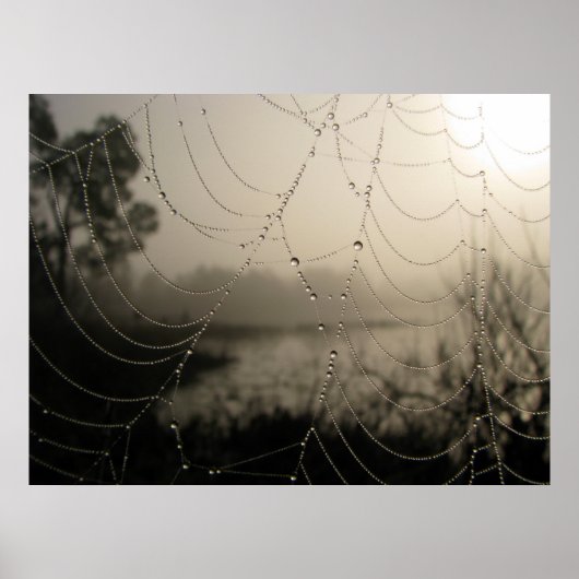 Spider's Morning Poster (Voorkant)