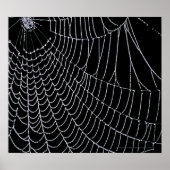 Spider's web | Afdrukken Poster (Voorkant)