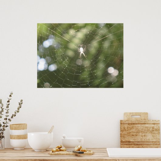 Spider's Web Poster (Keuken)