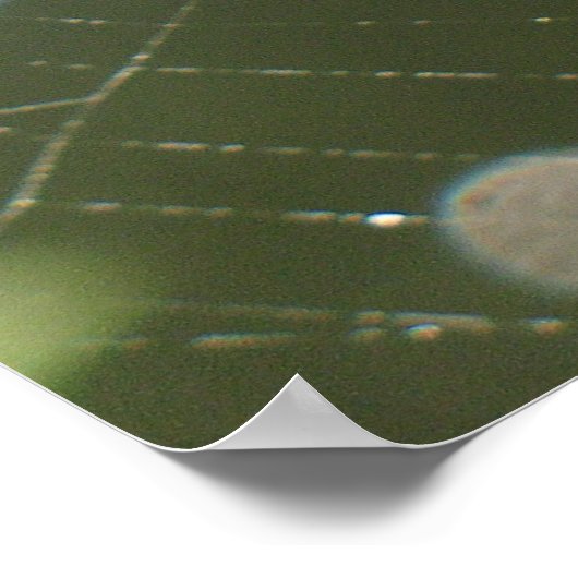 Spider's Web Poster (Hoek)