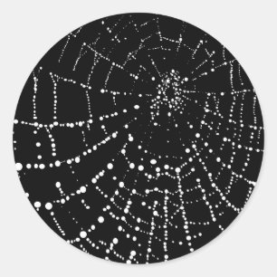 Spider's web ronde sticker