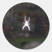 Spiders Web Ronde Sticker (Voorkant)