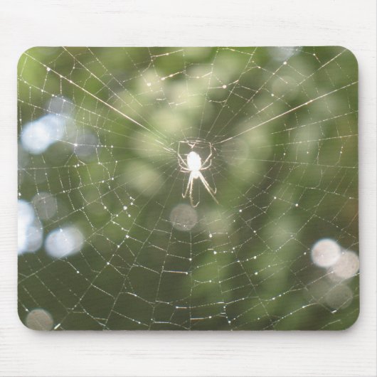 Spider's webmousepad muismat (Voorkant)