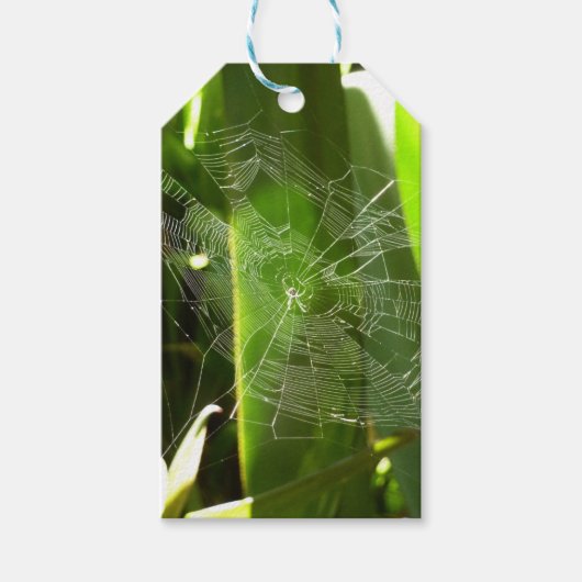 Spiderweb in de Natuur Tropische bladeren Cadeaulabel (Voorkant)