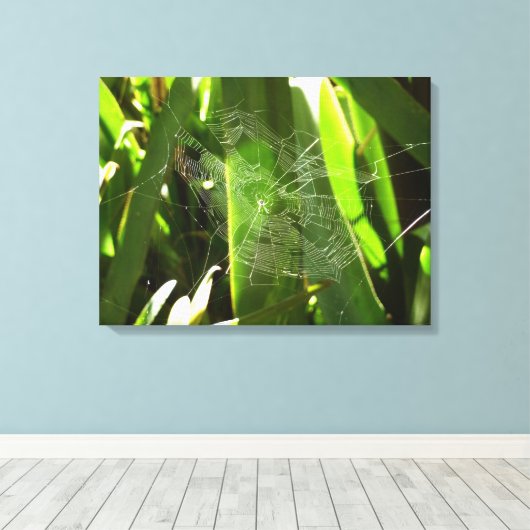 Spiderweb in de Natuur Tropische bladeren Canvas Afdruk (Insitu (Houten vloer))