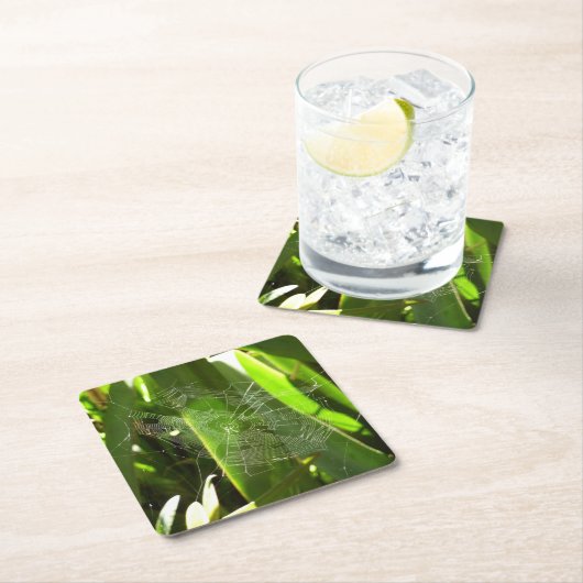 Spiderweb in de Natuur Tropische bladeren Kartonnen Onderzetters (Insitu)