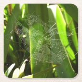 Spiderweb in de Natuur Tropische bladeren Kartonnen Onderzetters (Voorkant)