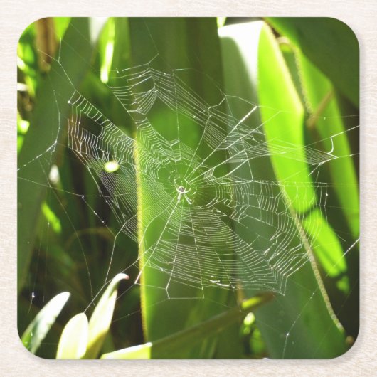 Spiderweb in de Natuur Tropische bladeren Kartonnen Onderzetters (Voorkant)