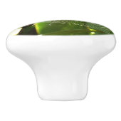 Spiderweb in de Natuur Tropische bladeren Keramische Knop (Zijkant)