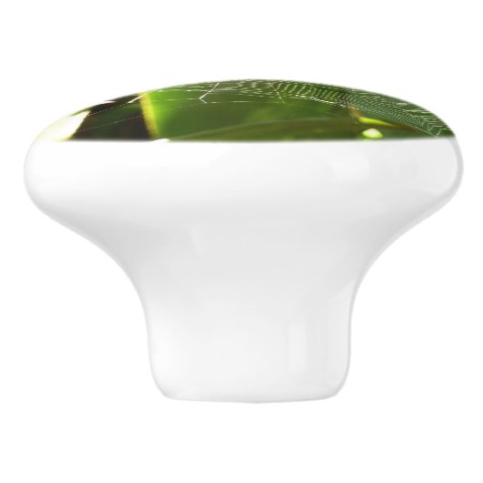 Spiderweb in de Natuur Tropische bladeren Keramische Knop (Zijkant)