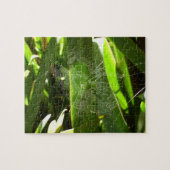 Spiderweb in de Natuur Tropische bladeren Legpuzzel (Horizontaal)