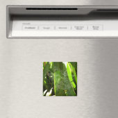 Spiderweb in de Natuur Tropische bladeren Magneet (Insitu (Vaatwasser))