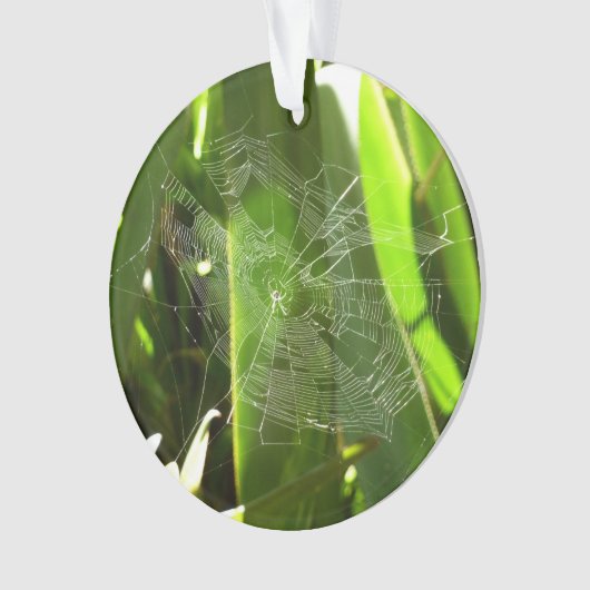 Spiderweb in de Natuur Tropische bladeren Ornament (voorkant)