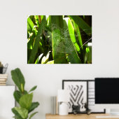 Spiderweb in de Natuur Tropische bladeren Poster (Thuiskantoor)
