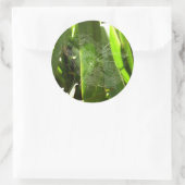 Spiderweb in de Natuur Tropische bladeren Ronde Sticker (Tas)