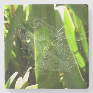 Spiderweb in de Natuur Tropische bladeren Stenen Onderzetter
