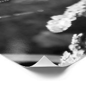 Spiderweb in Long Grass Perfect Poster (Hoek)