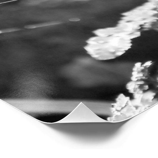 Spiderweb in Long Grass Perfect Poster (Hoek)