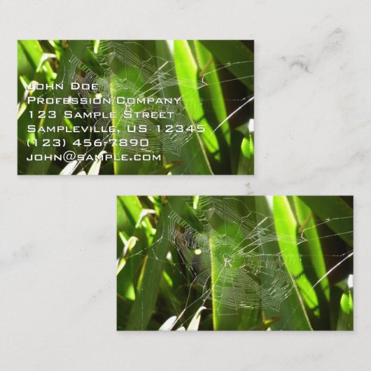 Spiderweb in Tropical Leaves Nature Visitekaartje (Voorkant / Achterkant)