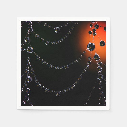 Spiderweb jewels luiers servet (Voorkant)