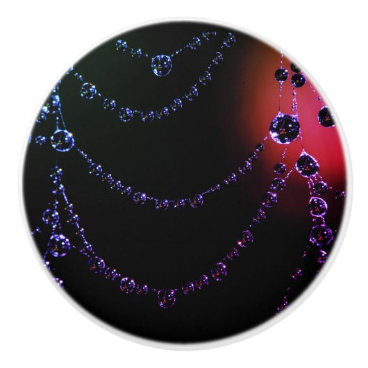 Spiderweb juweel zwart roze paarse keramische knop (Voorkant)