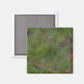 Spiderweb met druppeltjes magneet (Voorkant / Achterkant)