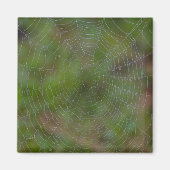Spiderweb met druppeltjes magneet (Voorkant)
