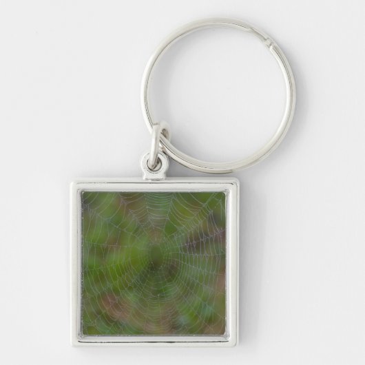 Spiderweb met druppeltjes sleutelhanger (Voorkant)