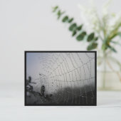 Spiderweb Post Card Briefkaart (Staand voorkant)