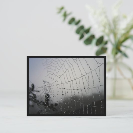Spiderweb Post Card Briefkaart (Staand voorkant)