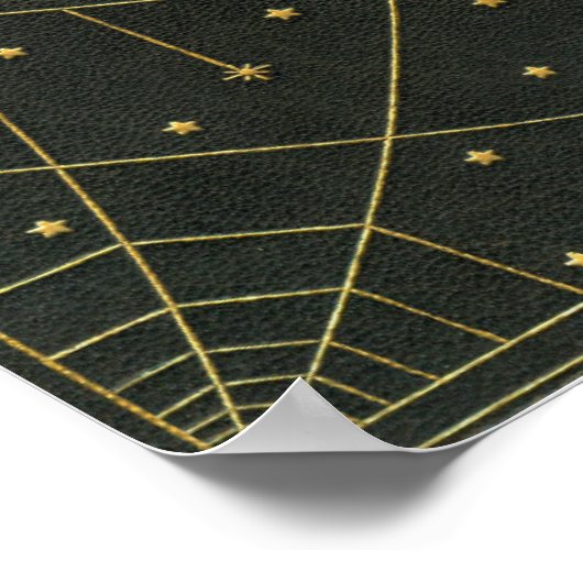 Spiderweb spin en sterren zwart en goud poster (Hoek)