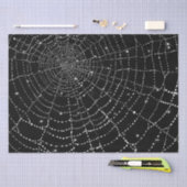 Spiderweb Tissuepapier (Craft)