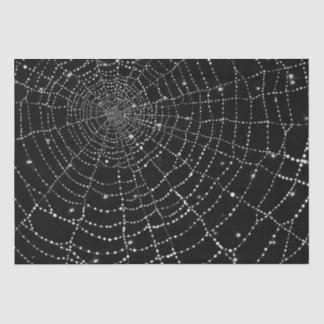 Spiderweb Tissuepapier