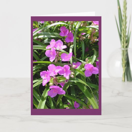 Spiderwort bloeit II Lege Kaart van de Nota (Voorkant)