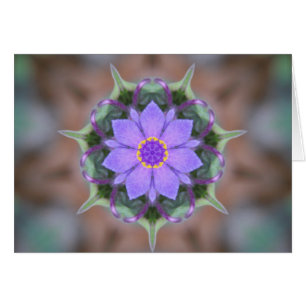Spiderwort Flower Kaleidoscope