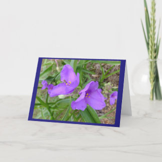 Spiderwort Flowers Blank Note Kaart