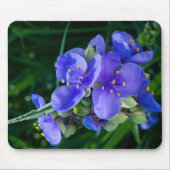 Spiderwort Plant Closeup in Full Bloom Muismat (Voorkant)