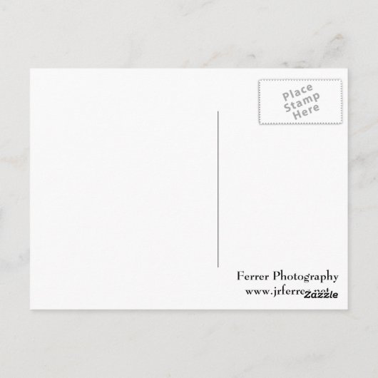 Spiderwortventiel Briefkaart (Achterkant)