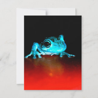 Spidey Frog Groene Kikker Wilde Dieren Liefhebber Kaart