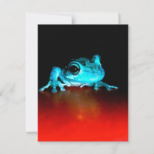 Spidey Kikker Groene Kikker Wilde Dieren Liefhebbe Kaart (Voorkant)