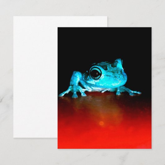 Spidey Kikkergroen Kikker Wilde Dieren Liefhebber Kaart (Voorkant / Achterkant)