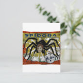 Spidora Briefkaart (Staand voorkant)