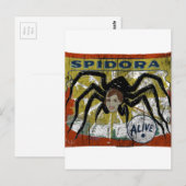 Spidora Briefkaart (Voorkant / Achterkant)